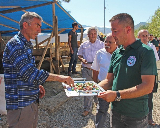 Giresun’a Yeni Hayvan Pazarı Kurulacak