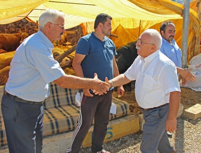 Giresun’a Yeni Hayvan Pazarı Kurulacak