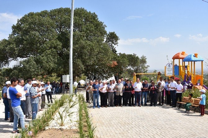 Asırlık Çitlembik Gölgesine Modern Park