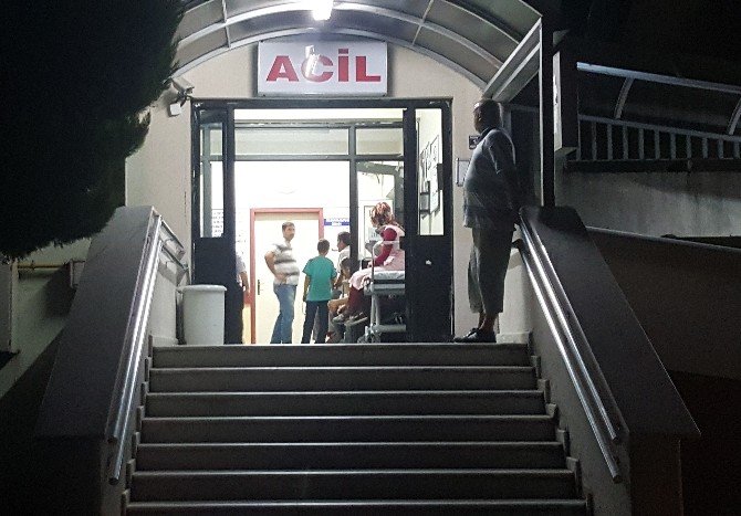 Zonguldak’ta Eşek Arısının Soktuğu Kişi Hayatını Kaybetti