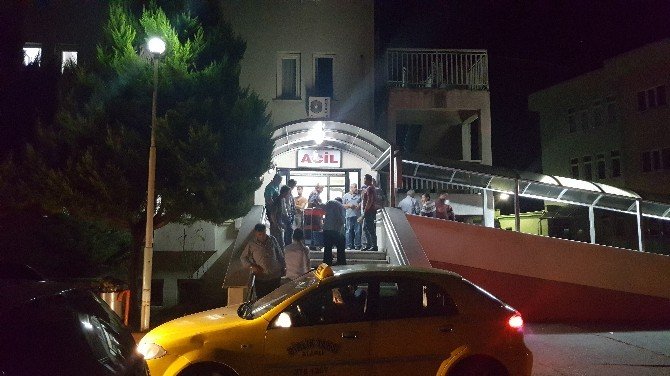 Zonguldak’ta Eşek Arısının Soktuğu Kişi Hayatını Kaybetti