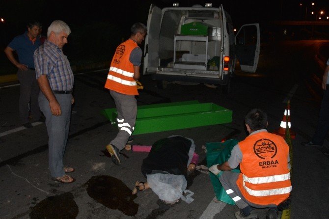 Erbaa’da Trafik Kazası: 3 Ölü