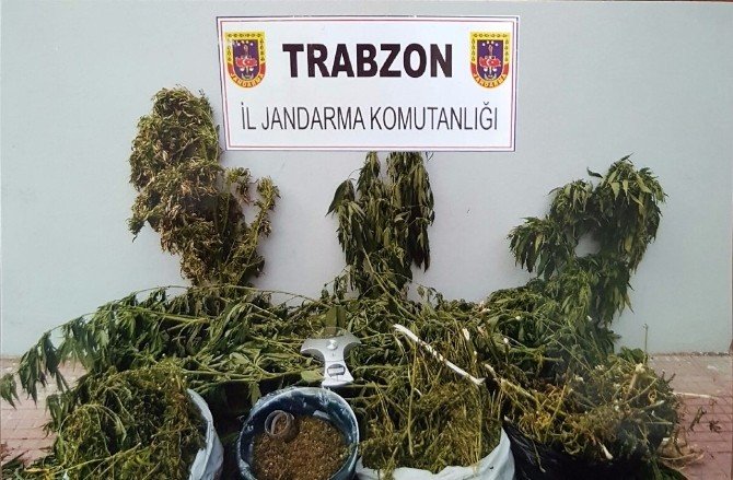 Trabzon’da Uyuşturucu Operasyonu