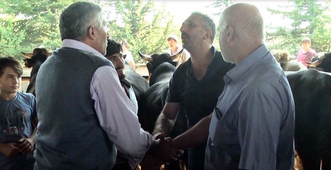 Düzce’de Hayvan Pazarında Hareketlilik
