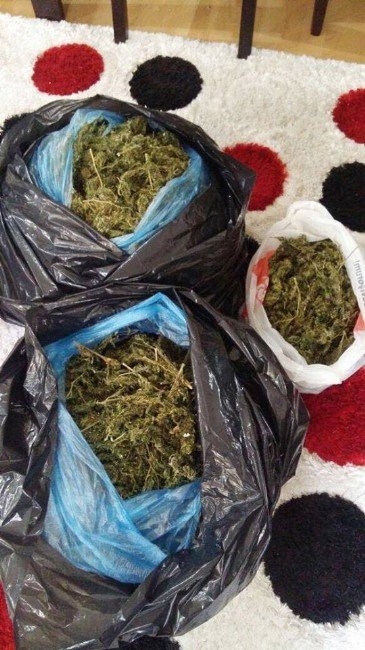 Trabzon’da Uyuşturucu Operasyonu