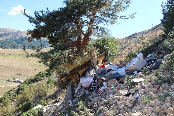Erzurum’da Trafik Kazası: 3 Ölü, 2 Yaralı