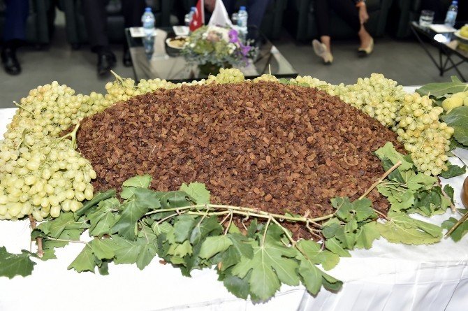 Çekirdeksiz Kuru Üzüm İhracatı 200 Bin Tonu Aştı