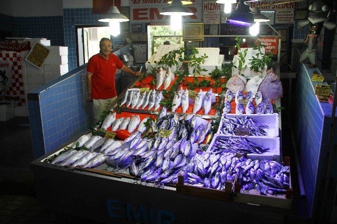 Samsun’da Kurban Eti Balık Satışını Etkilemedi