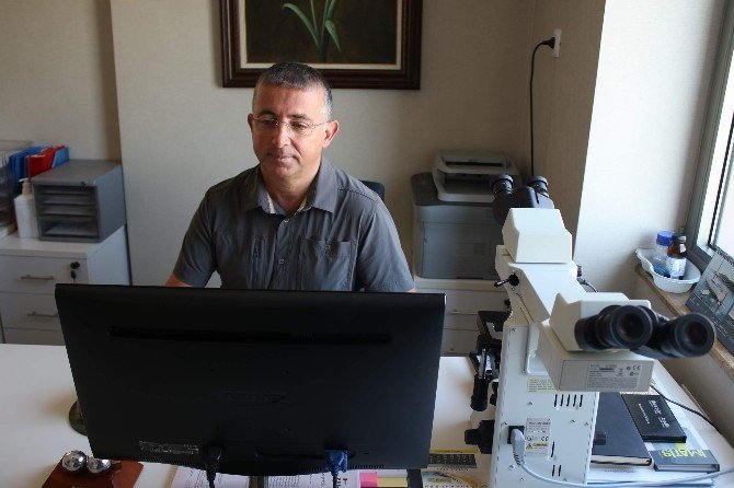 15 Eylül Dünya Lenfoma Günü