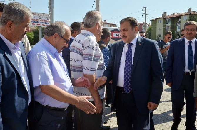 Bakan Eroğlu’ndan Kayyum Açıklaması