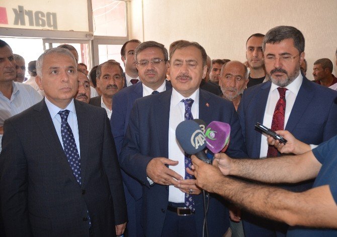 Bakan Eroğlu’ndan Kayyum Açıklaması