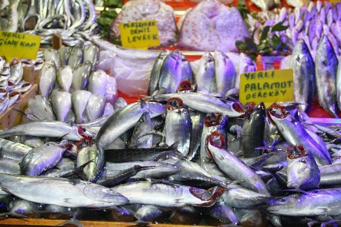 Samsun’da Kurban Eti Balık Satışını Etkilemedi