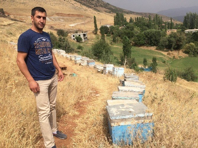 Hizan Balı Markalaşma Yolunda