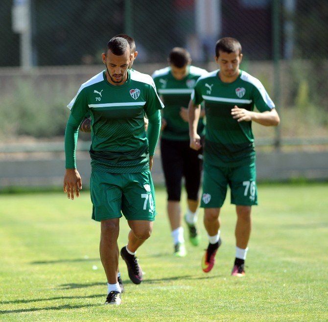 Timsah Kayseri’ye Hazır