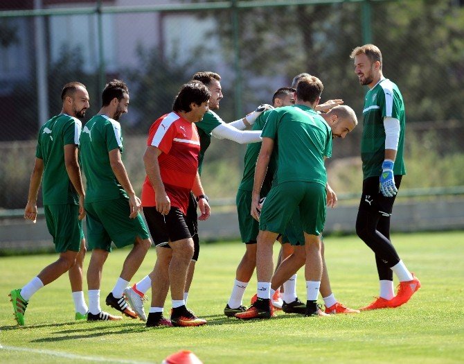 Timsah Kayseri’ye Hazır