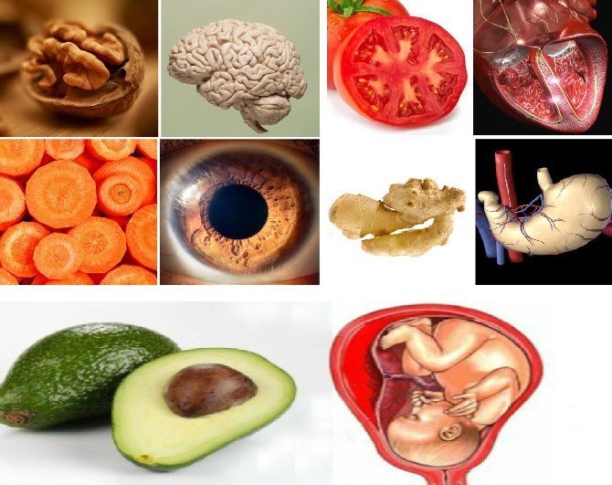 Mutfakta Kullanılan Besinlerin Bilinmeyen Yüzleri