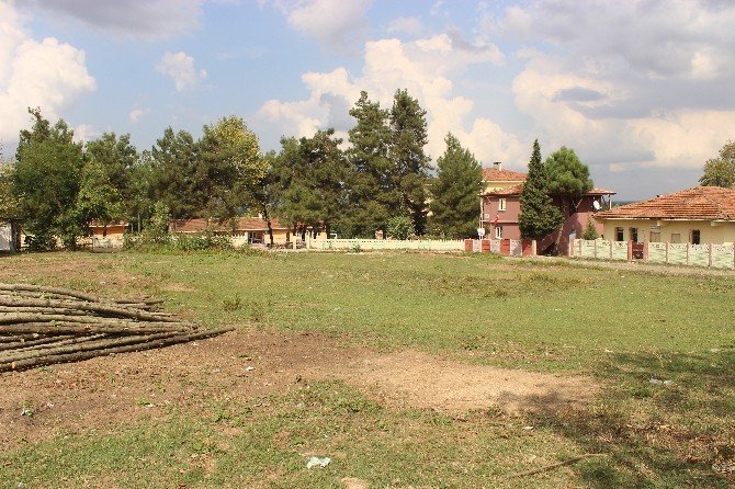 Salıpazarı’na Cemevi Yapılacak