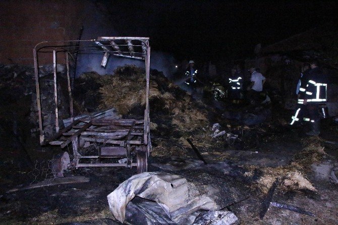 Amasya’da Ahır Yangını: 6 Hayvan Telef Oldu