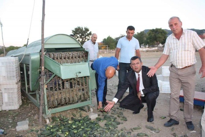 Chp’li Özel’den Mağdur Köylülere Ziyaret
