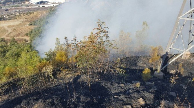 Karabük’te Orman Yangını