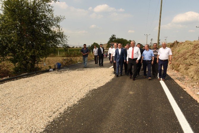 Çiftçiler Artık Ayçekirdeklerini Çevre Yolunda Kurutmayacak