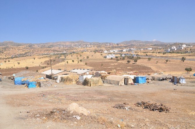 Yasağın Sürdüğü Şırnak’ta Ders Zili Çalmadı
