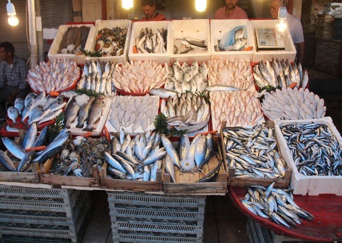 Tezgahlar Balıkla Doldu, Fiyatlar Yarı Yarıya Düştü