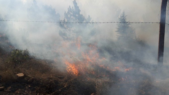 Yozgat’ta Orman Yangınını Vali Yurtnaç Bildirdi