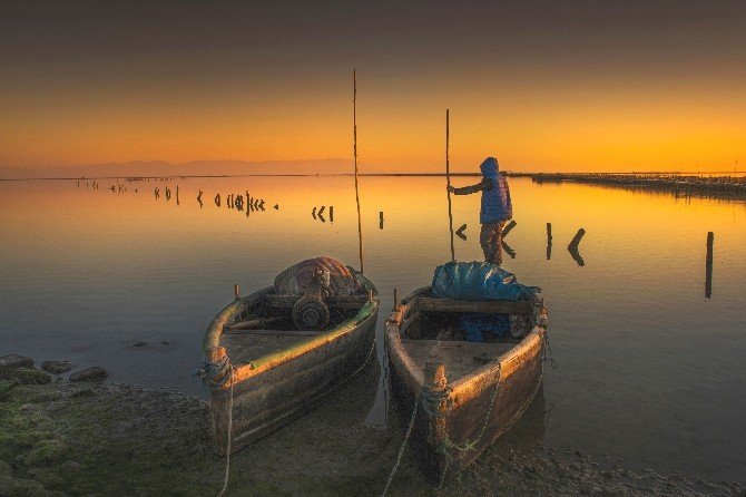 Afad Altın Kamera Fotoğraf Yarışması Sonuçlandı