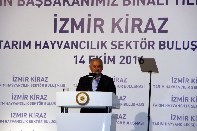 Başbakan Yıldırım: 