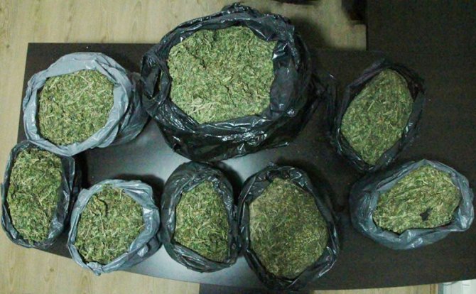 Giresun’da Uyuşturucu Tacirlerine Büyük Darbe