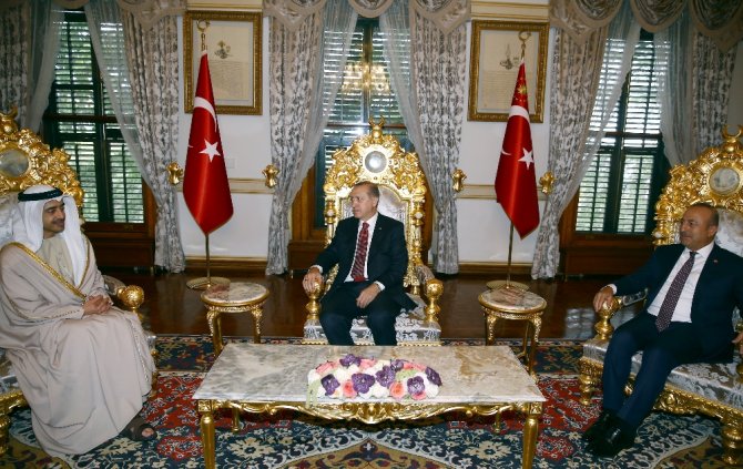 Erdoğan Bae Dışişleri Bakanı’nı Kabul Etti