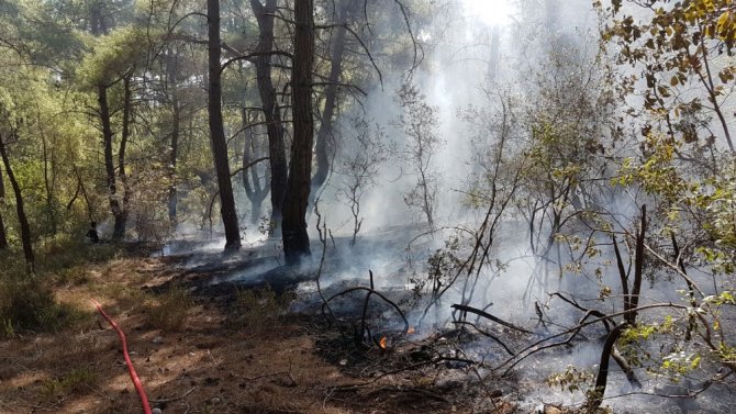 Manavgat’ta Orman Yangını