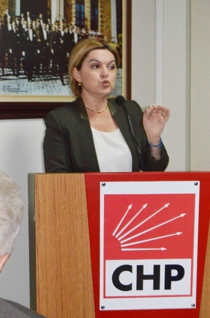 Chp Genel Başkan Yardımcısı Ve Parti Sözcüsü Selin Sayek Böke: