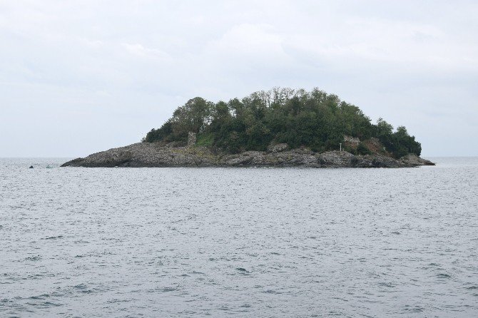 Araplar Karadeniz’de Yeni Yerler Arayışında