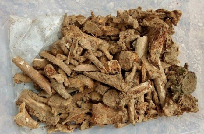 Tarihi Mezardan Ölülere Hediyeler Çıktı