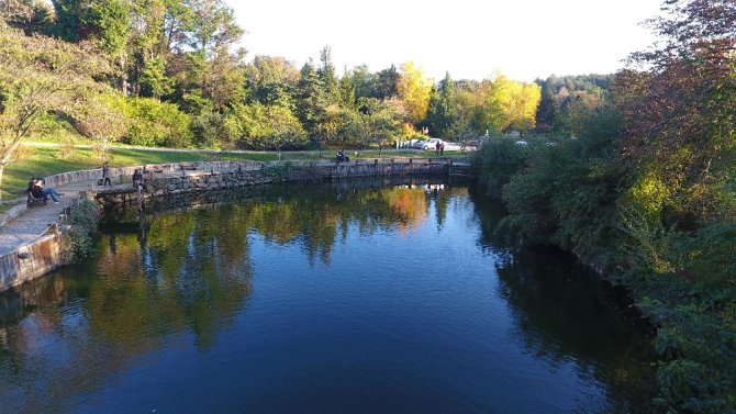 Atatürk Arboretumundan Sonbahar Manzaraları !