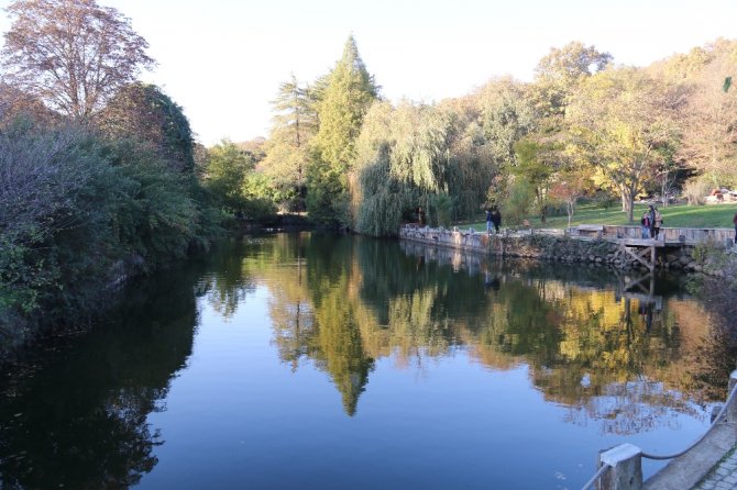 Atatürk Arboretumundan Sonbahar Manzaraları !