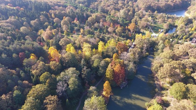 Atatürk Arboretumundan Sonbahar Manzaraları !