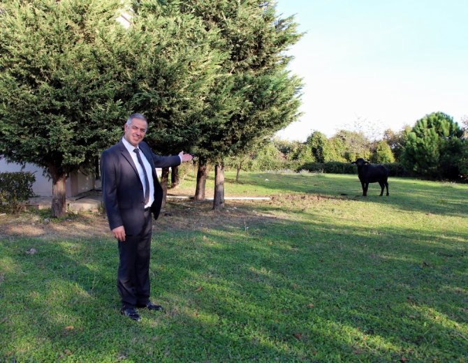Üniversite Kampüsünü Mesken Tuttu