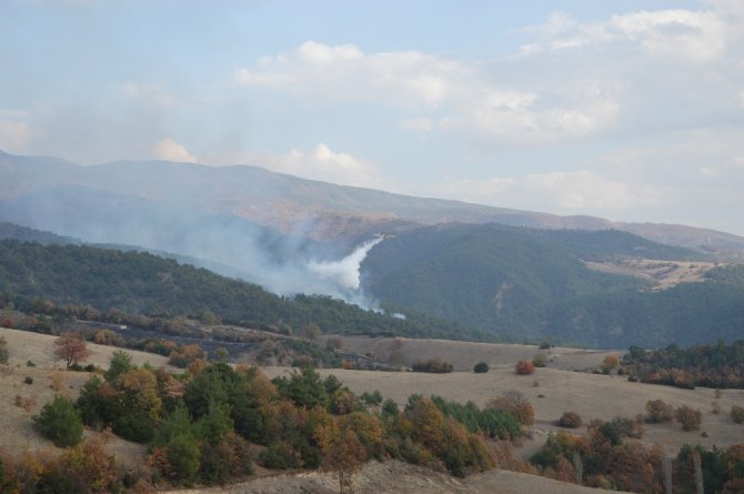 Tokat’ta Orman Yangını