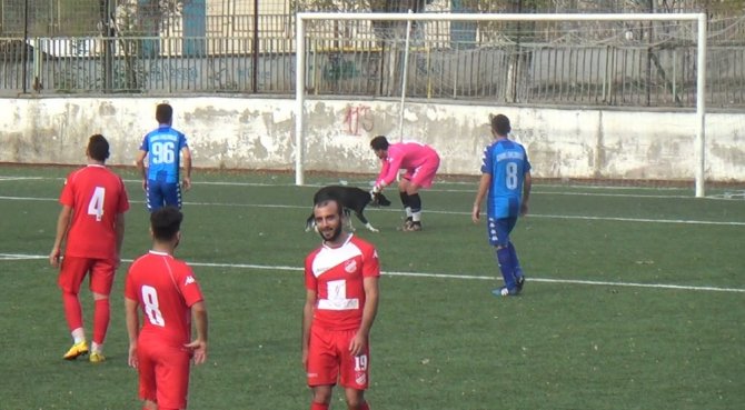 Taraftarların Kavgasından Kaçan Köpek Sahaya Atladı