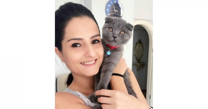 Entelektüel Kedi Günde 5 Saat Belgesel İzliyor