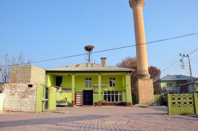 Camide ’Kütüphane’ Dönemi