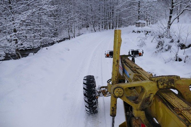 Trabzon’da Kar Nedeniyle Kapanan Yollar Açıldı