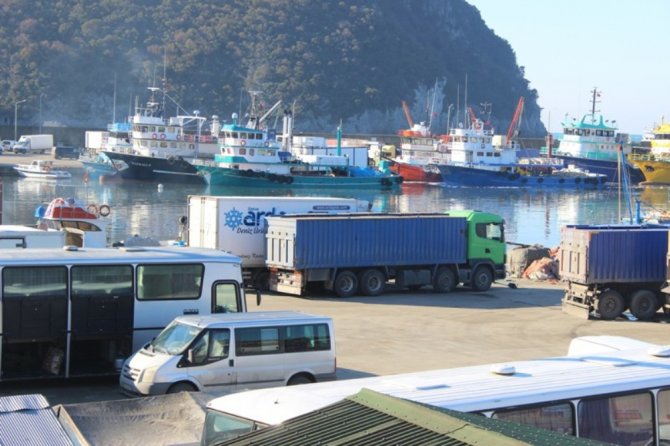 Limana 350 Ton Hamsi İle Geldiler