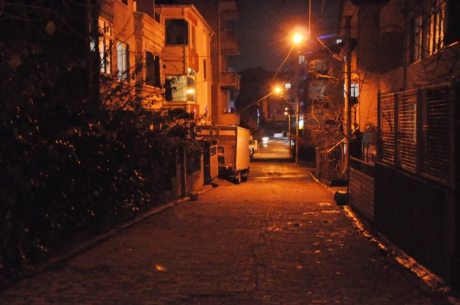 Organik Işık Yayan Bitkiler Sokakları Aydınlatacak