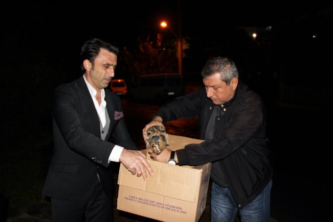 Nesli Tükenmekte Olan Kuş Yaralı Halde Bulundu