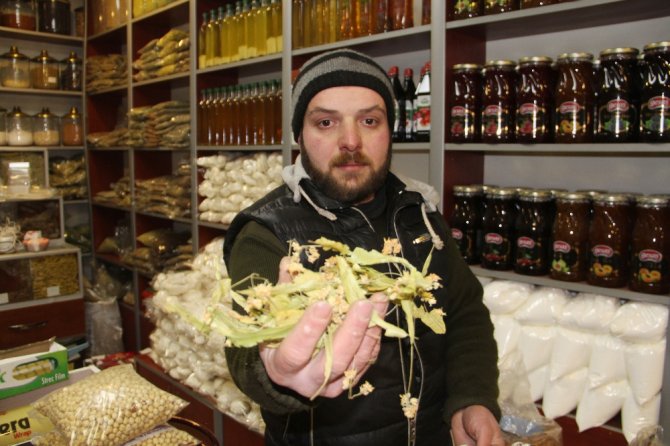 Ihlamur Fiyatları Altınla Yarışıyor