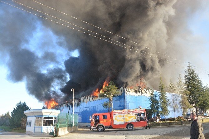 Arsin Organize Sanayi Sitesi’nde Yangın...(2)